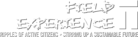 Field Experience